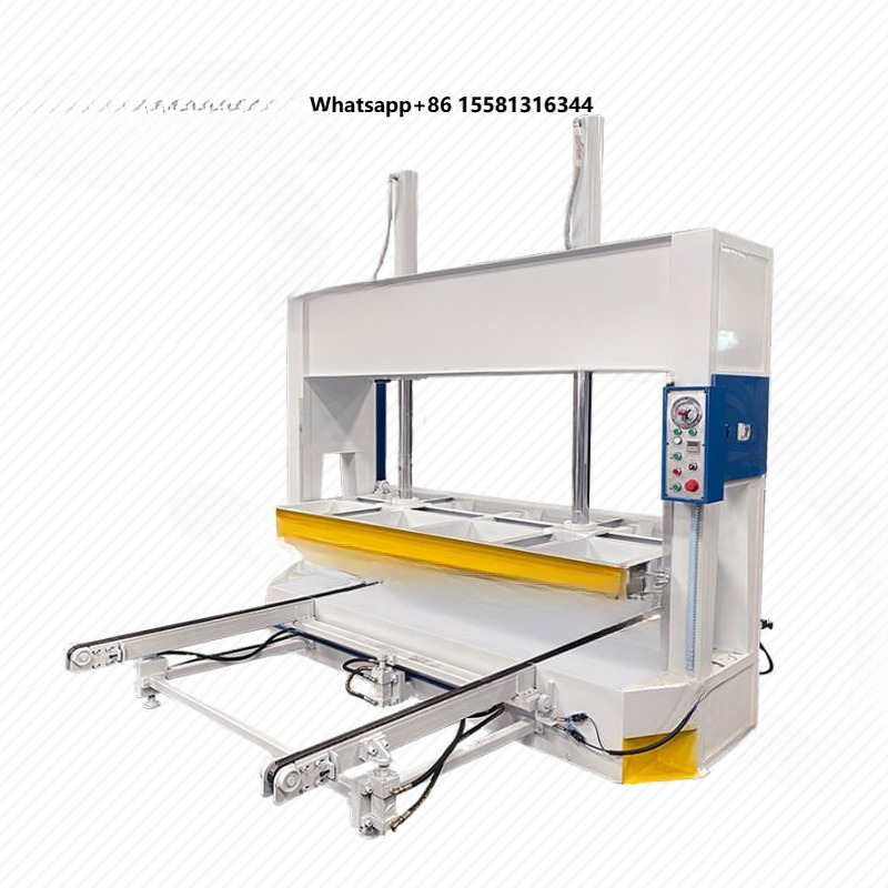 zicar Woodworking Down to up W - Zicar Woodworking Machinery recension och pris